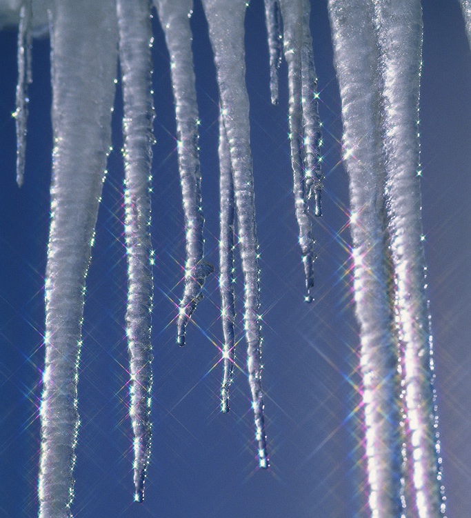 Close-up of Icicles