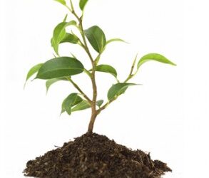 Groovy Guest Post: A Higher Standard