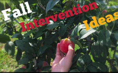 Fall Music Therapy Intervention